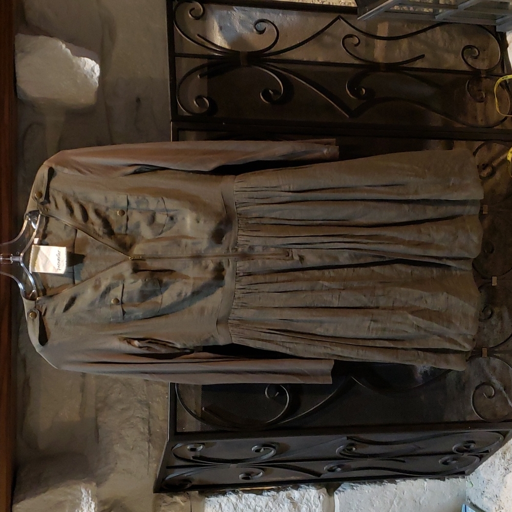 NWOT'S Parameter dress 4
